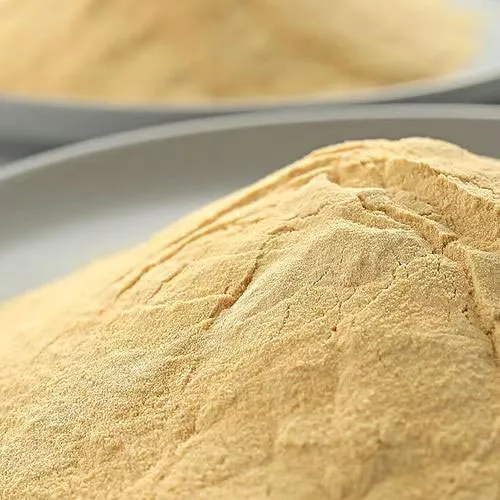 Autolysed Yeast Powder